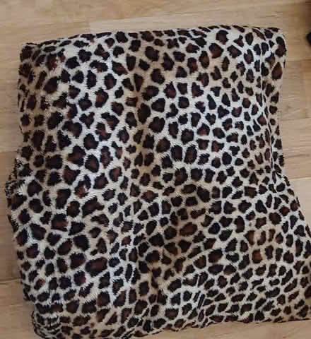 Photo of free Slanket (Stockport) #1