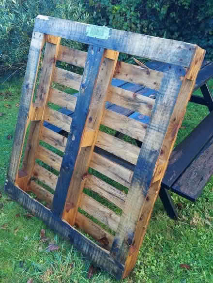 Photo of free Wooden Pallet (Hollingbury BN1) #1