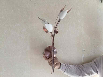 Photo of free Retro ceiling and wall lights (NP20) #1