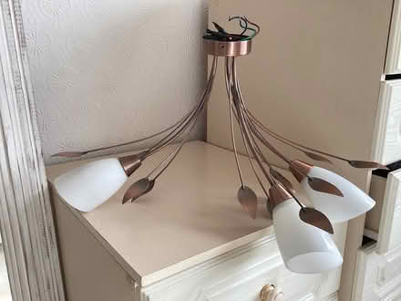 Photo of free Retro ceiling and wall lights (NP20) #3