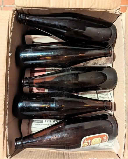 Photo of free Homebrew Beer Bottles (Lower Street NR11) #1