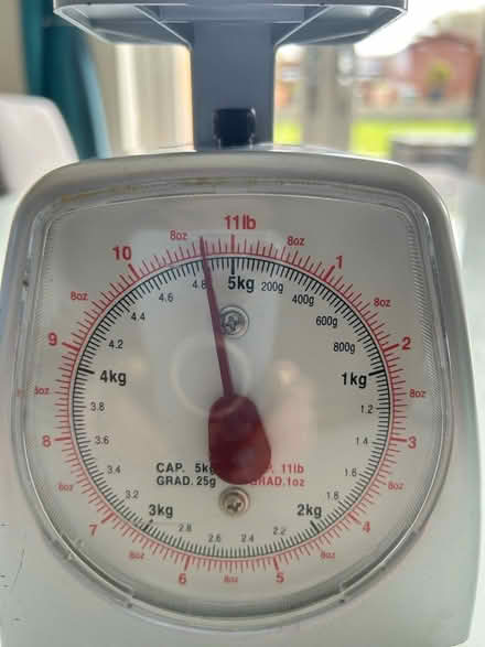 Photo of free Kitchen scales (Old town SG1) #3