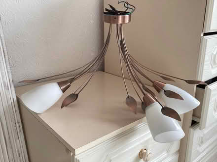 Photo of free Retro ceiling and wall lights (NP20) #2