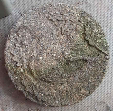 Photo of free 5 x concrete stepping stones (Stockport) #1