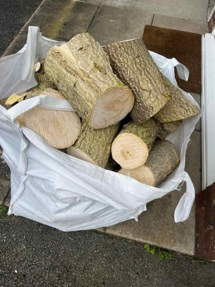 Photo of free Logs (SW20) #1