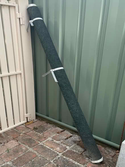 Photo of free Cat climbing pole (Surrey Hills) #1