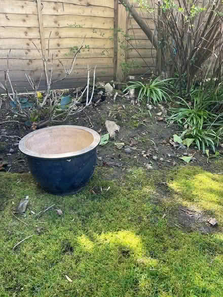 Photo of free plant pot (East molesey KT8) #1