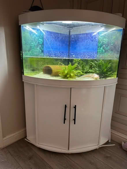 Photo of free Corner tank (Worcester) #1
