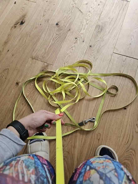 Photo of free Flexi Giant 10m lead (Sandiacre NG10) #4