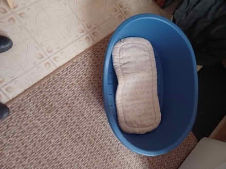 Photo of free Large dog bed (Dawley TF4) #2