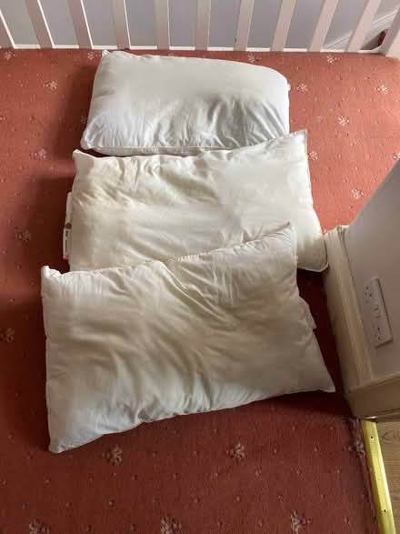 Photo of free Three pillows (Harrogate HG2) #1
