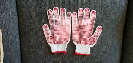 Photo of free Garden gloves (Hintonburg) #1