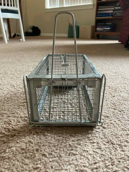 Photo of free Humane live animal trap (Falls Church, VA) #1