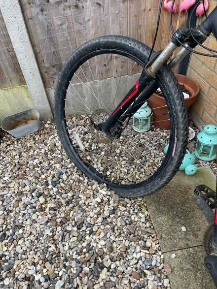 Photo of free Men’s Bike (Bedford) #4