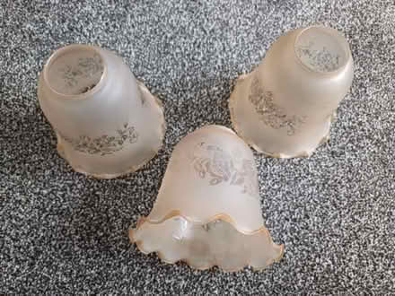 Photo of free Glass Lamp shades (Torrisholme LA4) #1