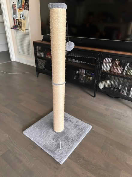 Photo of free Cat tree (Yonge and Eglinton) #1