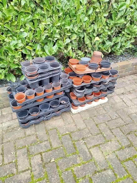 Photo of free Flower Pots (Gidea Park RM2) #1