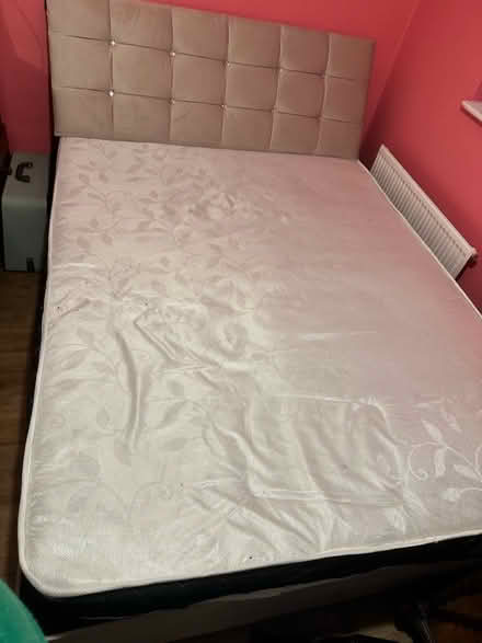 Photo of free New Double Bed + Mattress & Headboard (Belbroughton DY9) #2