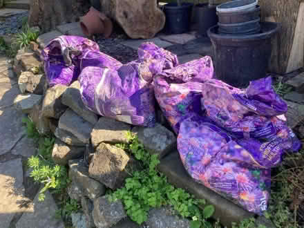Photo of free Bagged Topsoil good quality (Hastings TN35) #1