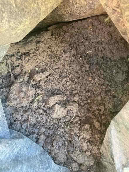 Photo of free Bagged Topsoil good quality (Hastings TN35) #3