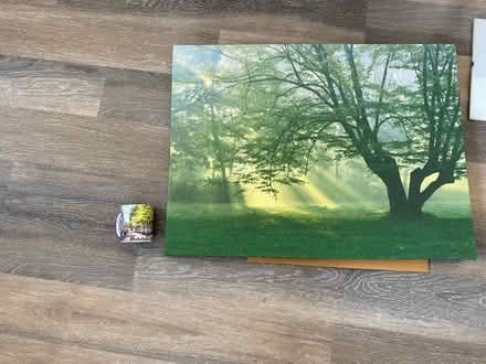 Photo of free Large woodland picture (Birkdale PR8) #1