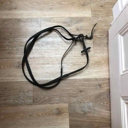 Photo of free Pony stuff - reins (Malvern Link WR14) #1