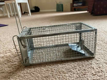 Photo of free Humane live animal trap (Falls Church, VA) #2