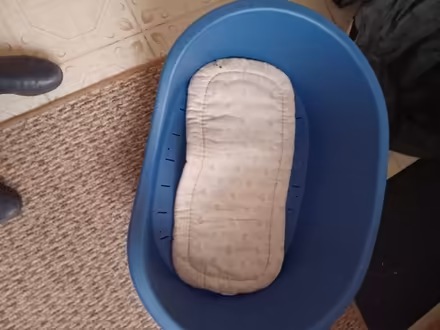 Photo of free Large dog bed (Dawley TF4) #1