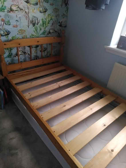 Photo of free Single pine bed frame (Low Hesket CA4) #2
