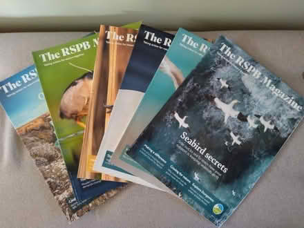 Photo of free Magazines (Morfa Rhyd LL30) #1