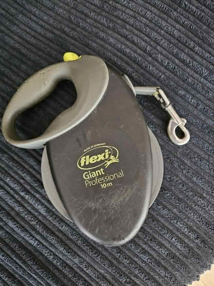 Photo of free Flexi Giant 10m lead (Sandiacre NG10) #1