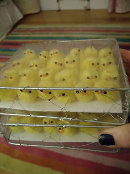 Photo of free 2 boxes of fluffy chicks for Easter crafting (Dyke Road area BN1) #1