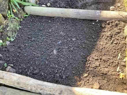 Photo of free Bagged Topsoil good quality (Hastings TN35) #4