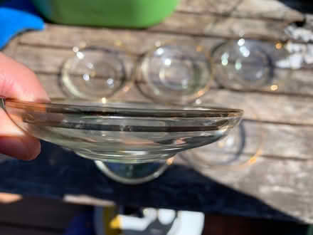 Photo of free Set of 6 mcm teacup plates (Bronx) #2
