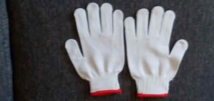 Photo of free Garden gloves (Hintonburg) #2