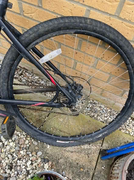 Photo of free Men’s Bike (Bedford) #2