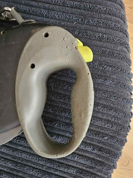 Photo of free Flexi Giant 10m lead (Sandiacre NG10) #3