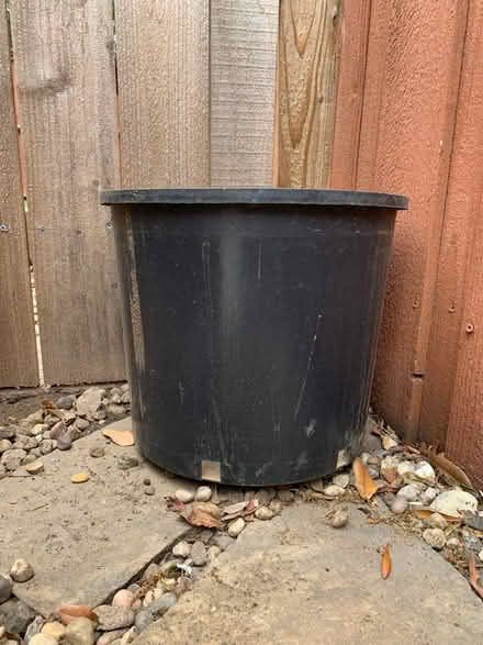 Photo of free Plastic pots (North Arlington (North Arlington (76012)) #2