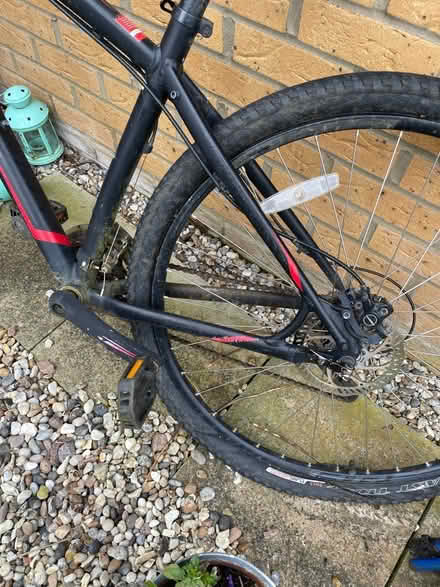Photo of free Men’s Bike (Bedford) #3