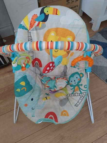 Photo of free Baby Bouncer in good order (SL3) #1
