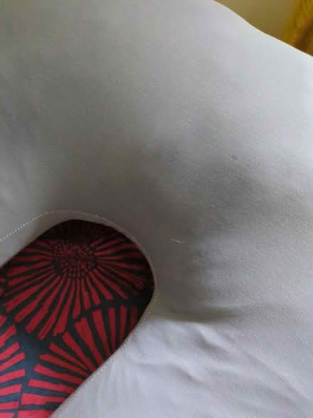 Photo of free Pregnancy pillow (stains) (Logan Circle) #2