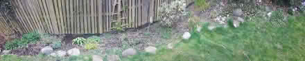 Photo of free Landscaping stones (Cornton FK9) #1