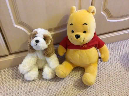 Photo of free Two soft toys (Vinters Park) #1