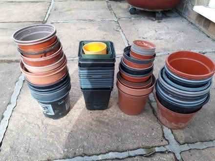 Photo of free Plant Pots (Stonebridge BA11) #1