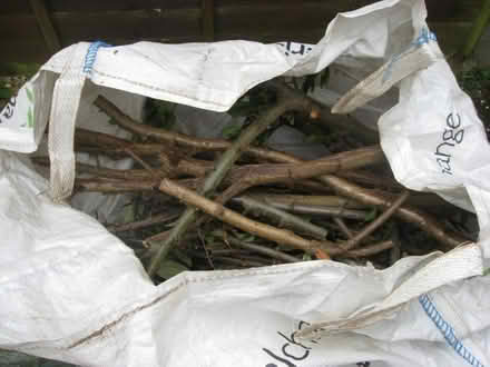 Photo of free Firewood/tinder (IP5) #1