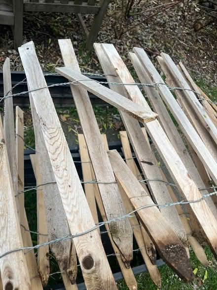 Photo of free Wooden garden fence (Chevy Chase DC) #2