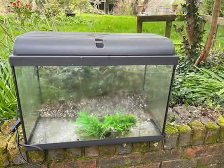 Photo of free Indoor Fish Tank, Pump and Filters (TN30) #1