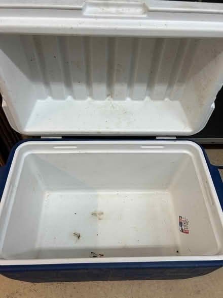 Photo of free Coleman Cooler (Howell) #2