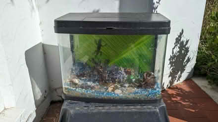 Photo of free Small fish tank (Bognor regis PO21) #1