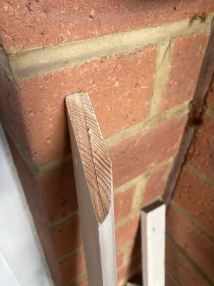 Photo of free Skirting (Finchley N2) #2
